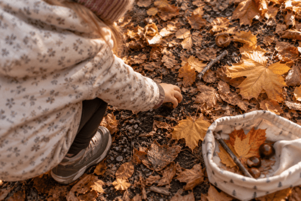 Kind sammelt Kastanien und bunte Blätter bei einem Herbstspaziergang
